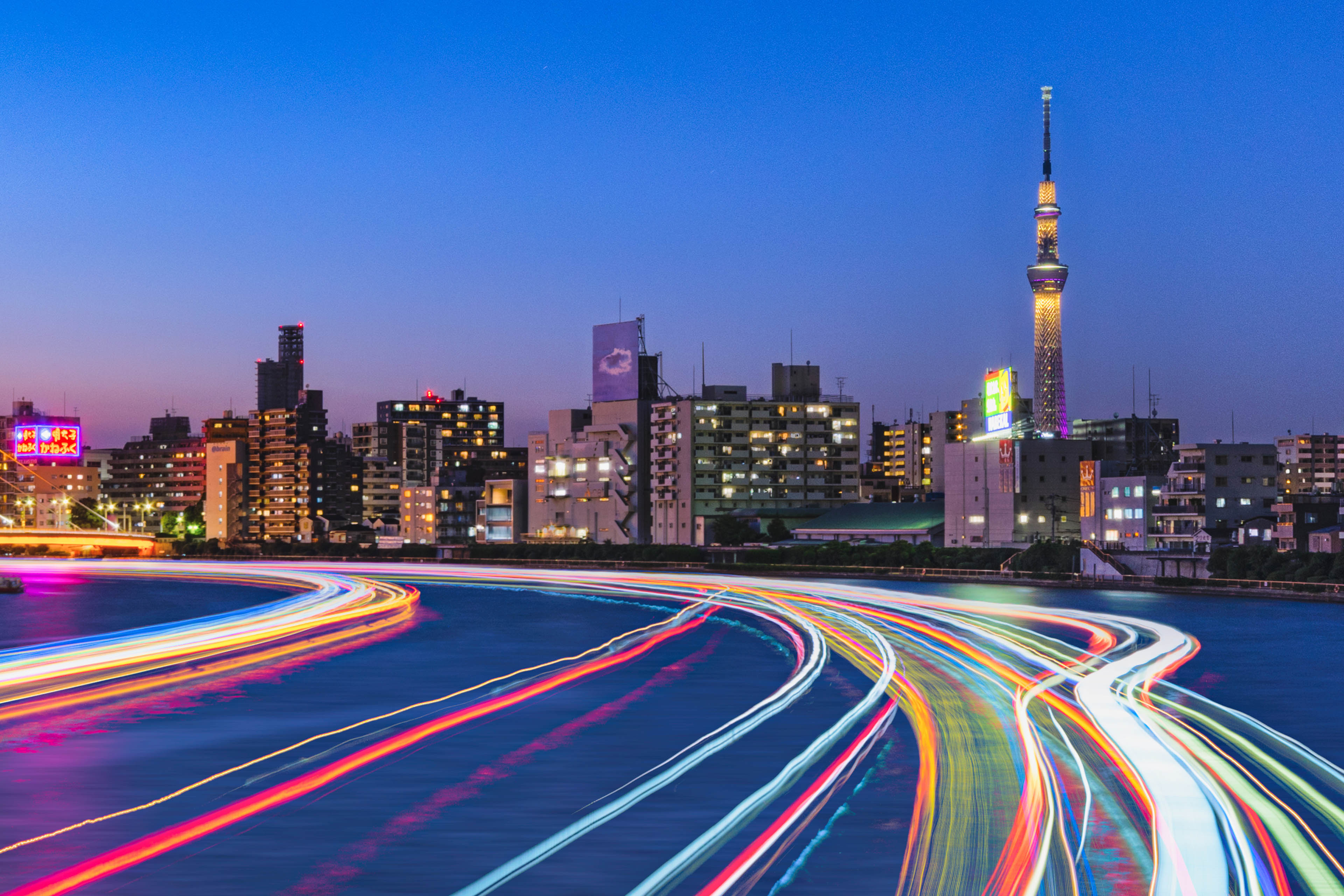 EYストラテジー・アンド・コンサルティング株式会社のロゴ